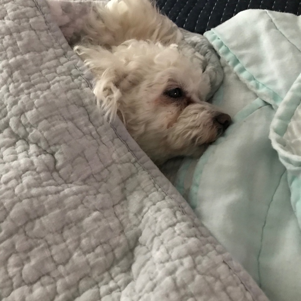 Meet your Posher, Gina